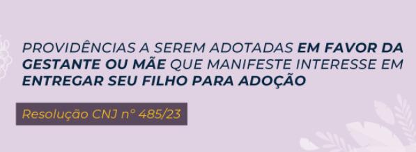 Curso sobre entrega voluntária para adoção será realizado pelo TJSP